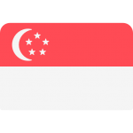 FLAG SINGAPOURE